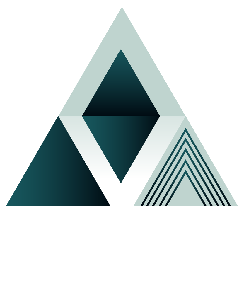 Vision42